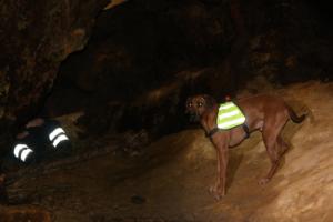 2018 Ausbildungswoche Arber